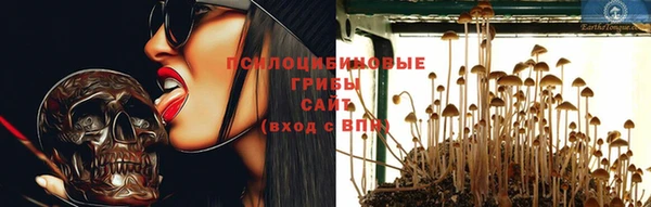 MESCALINE Богородицк