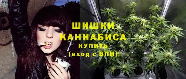 гашик Белокуриха