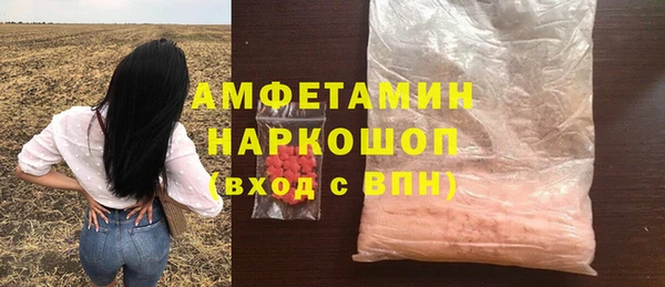гашик Белокуриха