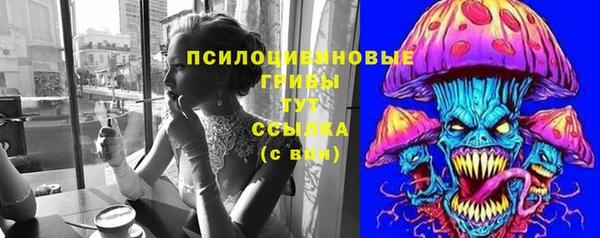 гашик Белокуриха